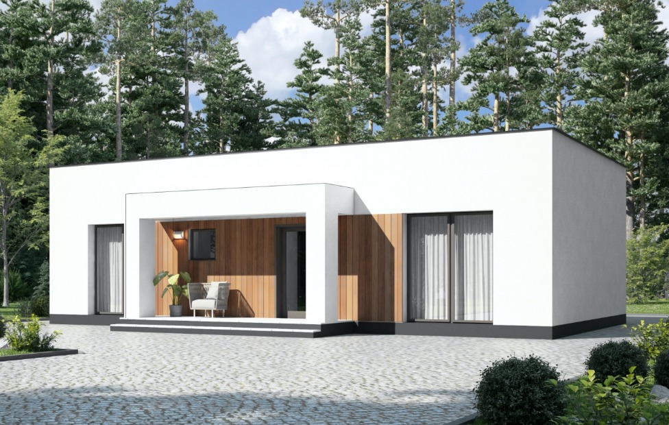 Современный дом с плоской кровлей с белыми стенами и комбинацией дерева в дизайне